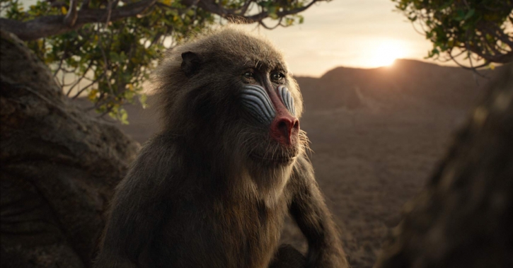 A luz depois da escuridão John Kani, dublador de Rafiki em O Rei Leão,  guarda um passado de luta na África